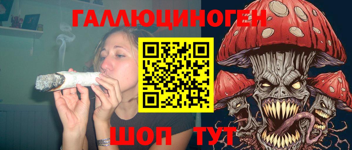 Псилоцибиновые грибы Cubensis Киров